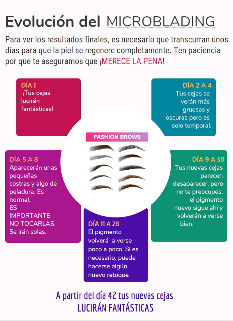 Evolución después del Microblading